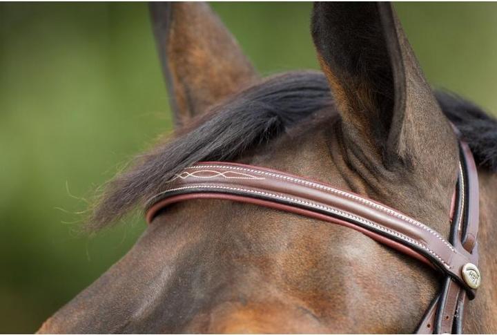 Image du produit HFI Master Comfort