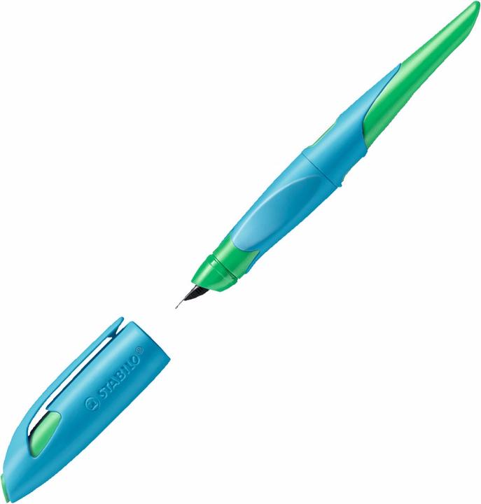 Actual product image STABILO EASYbirdy ergonomic school fountain pen for right-handers standard nib (Green, Blue, 1 x)