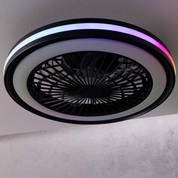 Productafbeelding Brilliant Palmero LED plafondlamp 46,5cm met ventilator zwart (5000 lm)