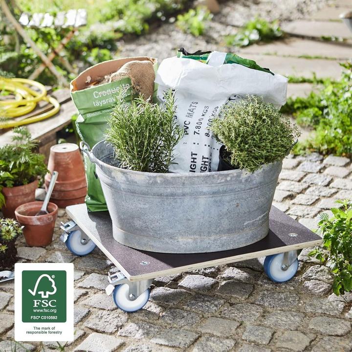 Produktbild Wagner System Transportroller (300 kg)