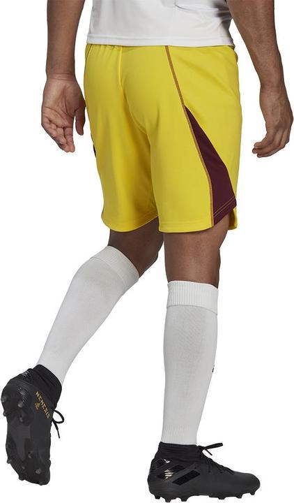 Produktbild adidas Tiro 23 Torwartshorts Herren (L)