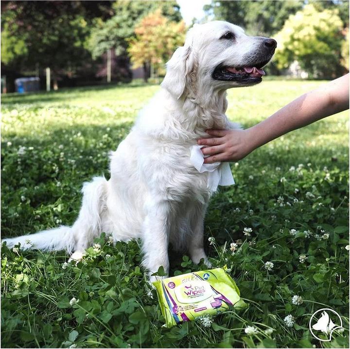 Produktbild Croci Gills Zitronengras Reinigungstuch für Hunde (Hund)