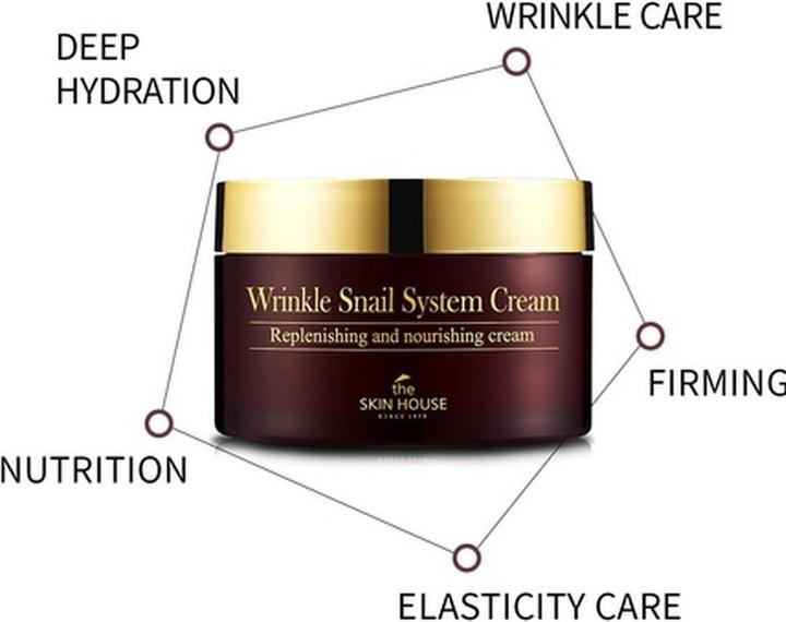 Produktbild The Skin House seit 1979 Falten Schnecken System Creme 3.38oz 100ml (100 ml)