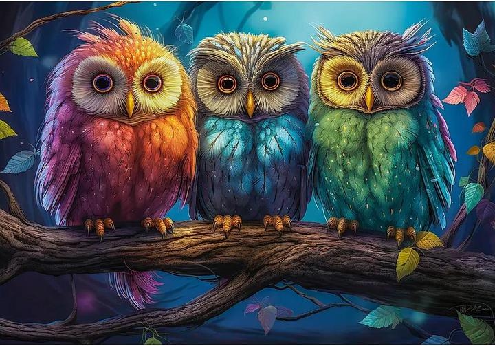Produktbild Castorland Three Little Owls (1000 Teile)