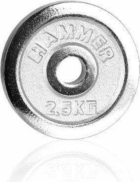 Hammer Fitness Hantelscheibe 30 mm 2,5 kg chrom (1 x 2.5 kg)