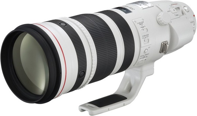 Immagine prodotto Canon EF 200-400mm 4L IS USM Extender 1.4x (Canon EF, Full-frame)