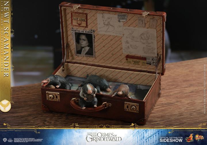 Actual product image Hot Toys Fantastic Beasts 2 "Newt Scamander" 1/6 Scale Figure