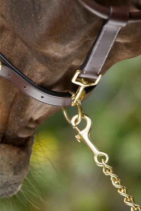 Immagine prodotto HFI Master X-Full