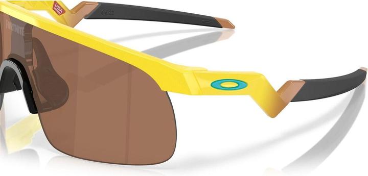 Image du produit Oakley Resistor (Jaune, Prizm Tungsten (Marron))