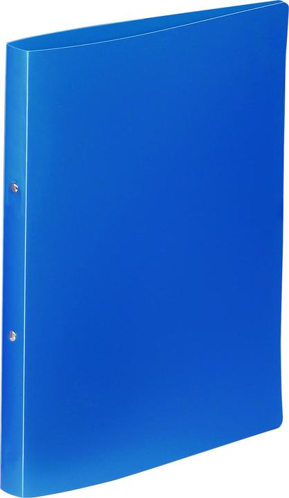 Actual product image Viquel Ring binder 2 rings blue 2,5 cm DIN A4 (A4, 25 mm, 1 Piece)