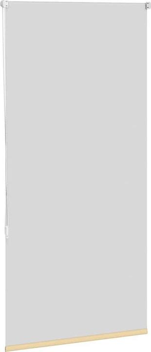 Actual product image vidaXL Verdunkelungsrollo (65 x 130 cm)
