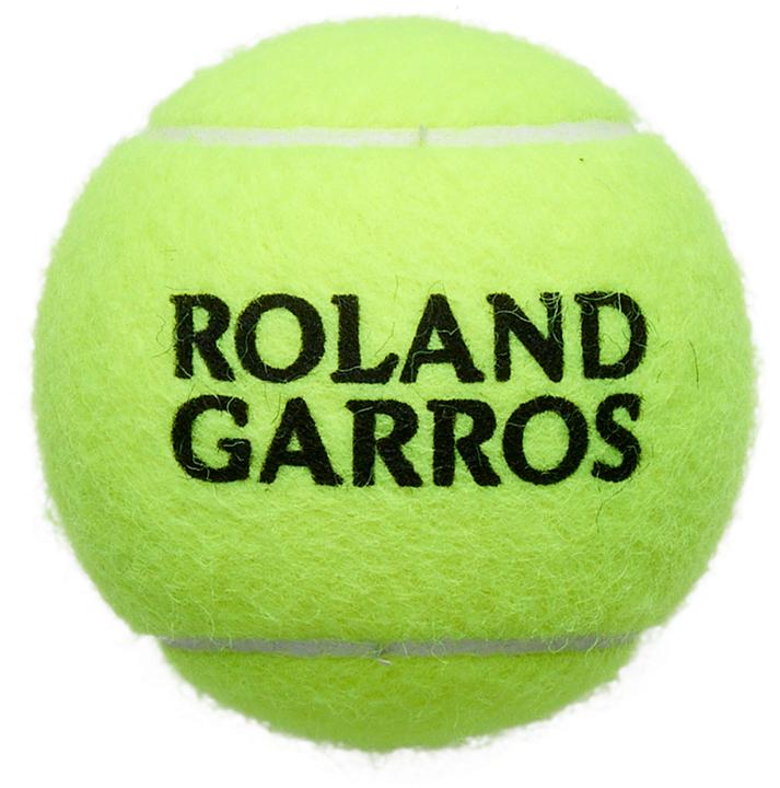 Immagine prodotto Wilson Roland Garos All Court 4