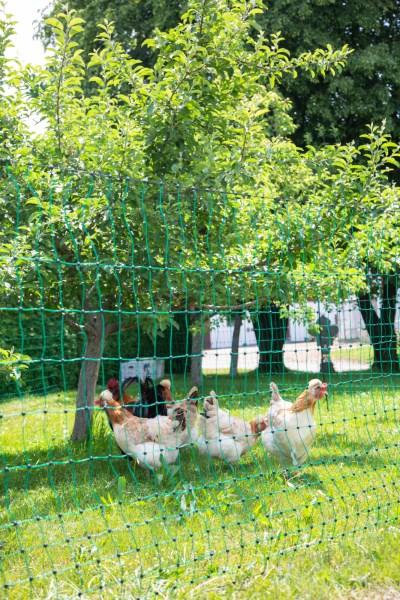 Actual product image Kerbl PoultryNet