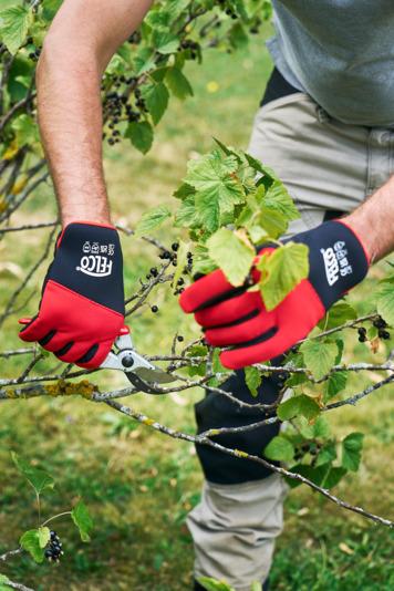 Actual product image Felco 704M Cut-resistant gloves, size M (M)
