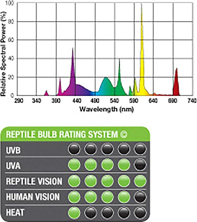Actual product image Exo Terra Reptile Vision 13W 15.4cm (UVB)