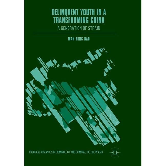 Delinquent Youth in a Transforming China, Fachbücher von Wan-Ning Bao
