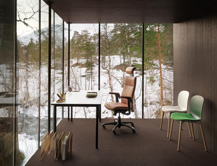 Produktbild HAG Tribute 9031 LEDER mit Kopfstütze (41 - 52 cm)