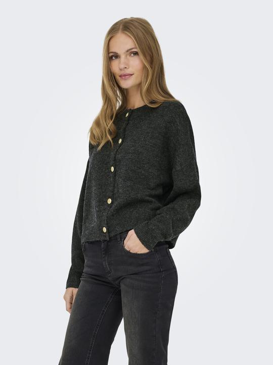 Produktbild JdY JDYDEBBIE Strickjacke Strickjacke (L)