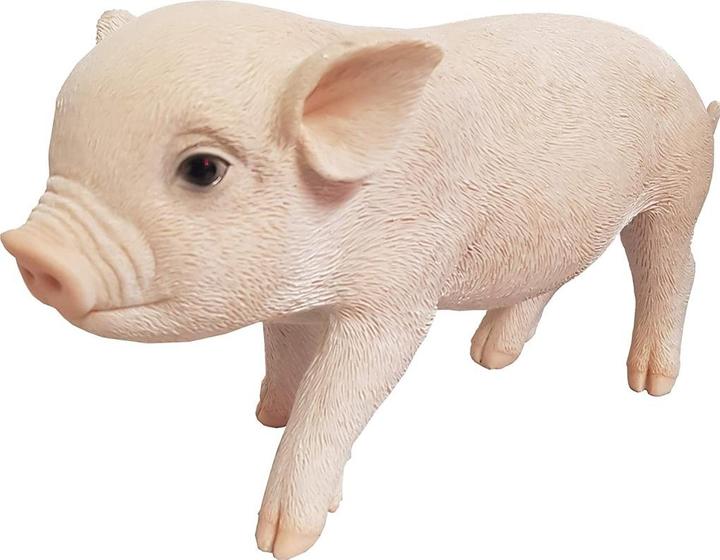 Produktbild Minischwein