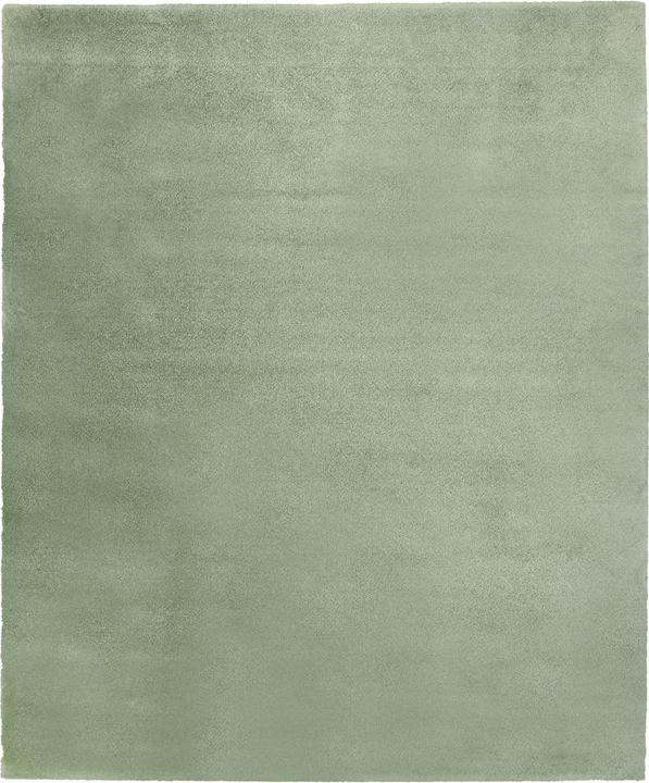 Louise 325720 vert clair