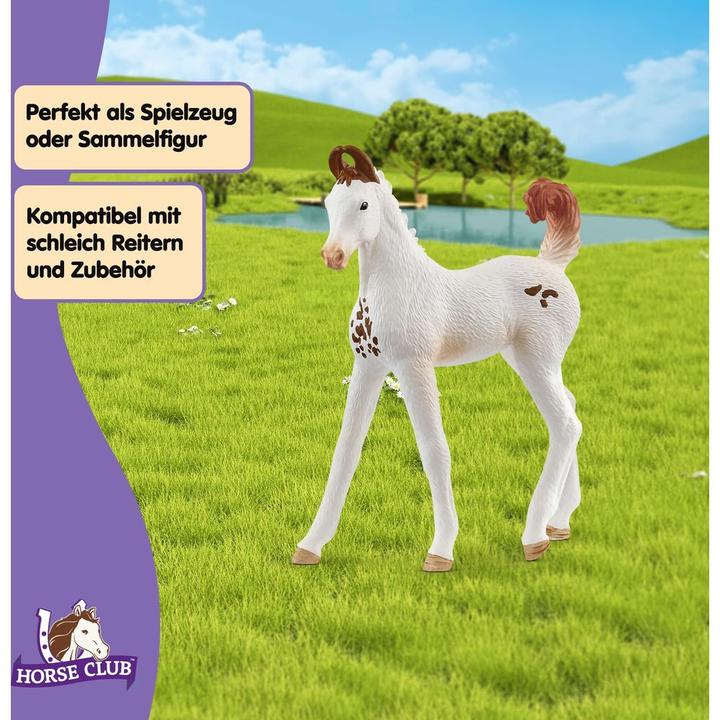 Image du produit Schleich Marwari Fohlen