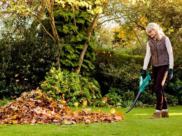 Produktbild Bosch Home & Garden Alb 18 Li Eu