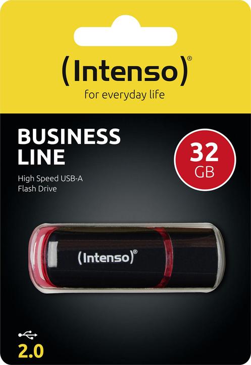 Actual product image Intenso Business Line (32 GB, USB-A)