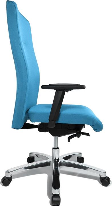 Produktbild Topstar Big Star 20 (44 - 52 cm)