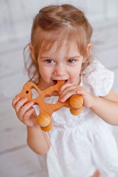 Produktbild Activity Board Nachziehhund