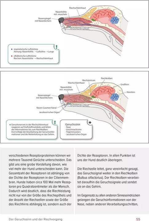Immagine prodotto Go. Find. Folge der Freude (Tedesco, Christina Blessmann, Susanna Simon, 2022)