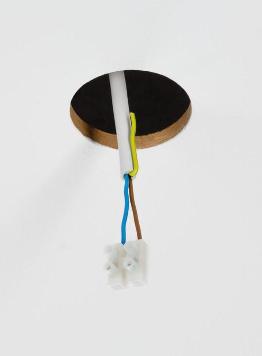 Actual product image Paulmann Adapter for pendant light