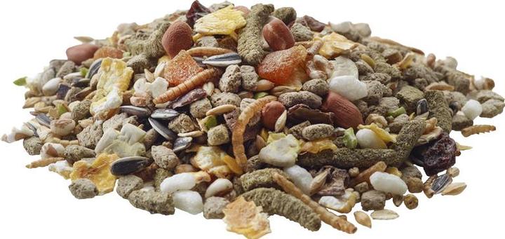Actual product image Versele Laga Nature Hamster - Hamster Food - 700 g (0.70 kg, 1 x)