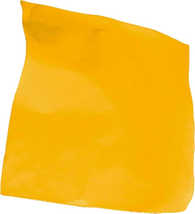 Actual product image Atlantis Goal Bandana