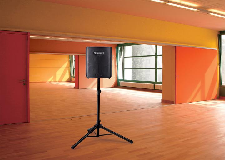 Produktbild Roland BA-330, Batterie-Verstärker, schwarz (30 W)