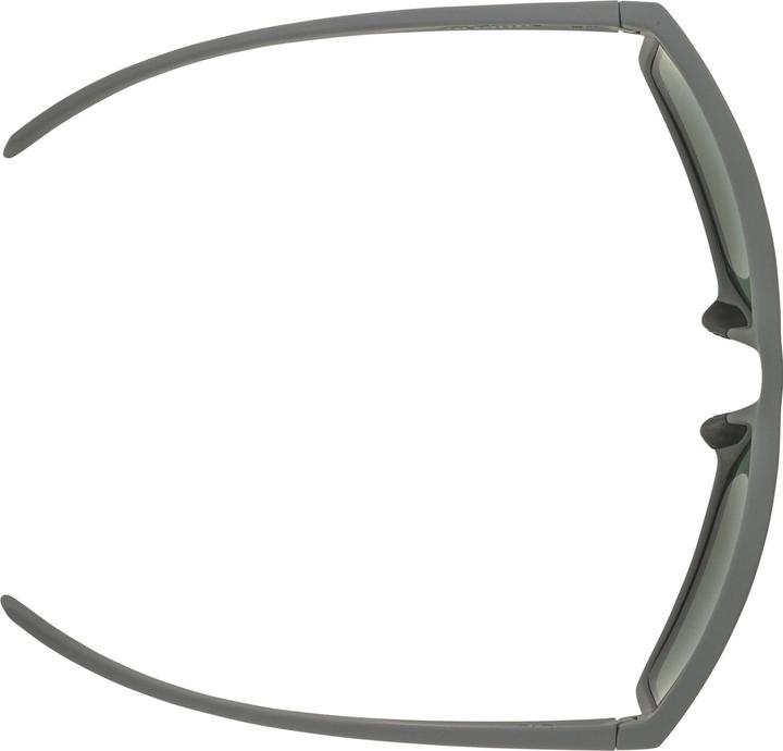 Image du produit ALPINA SPORTS Nacan I Pol