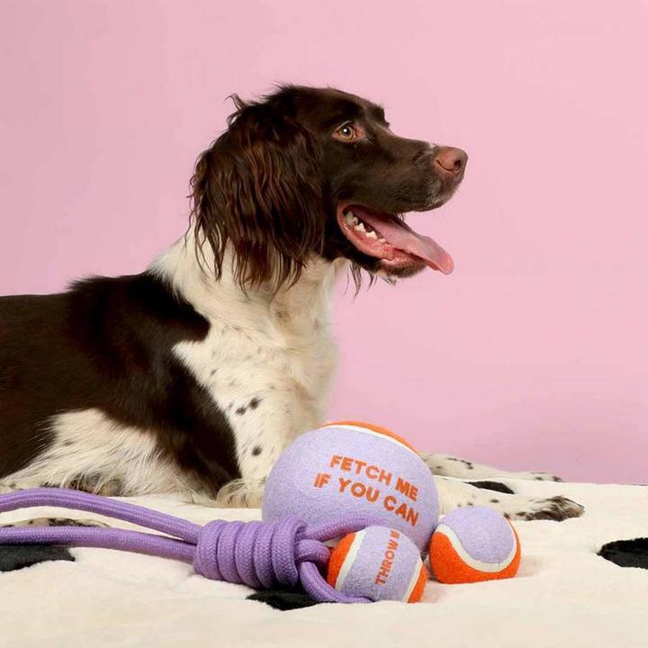 Immagine prodotto Coockoo Ball Fetch Me XL