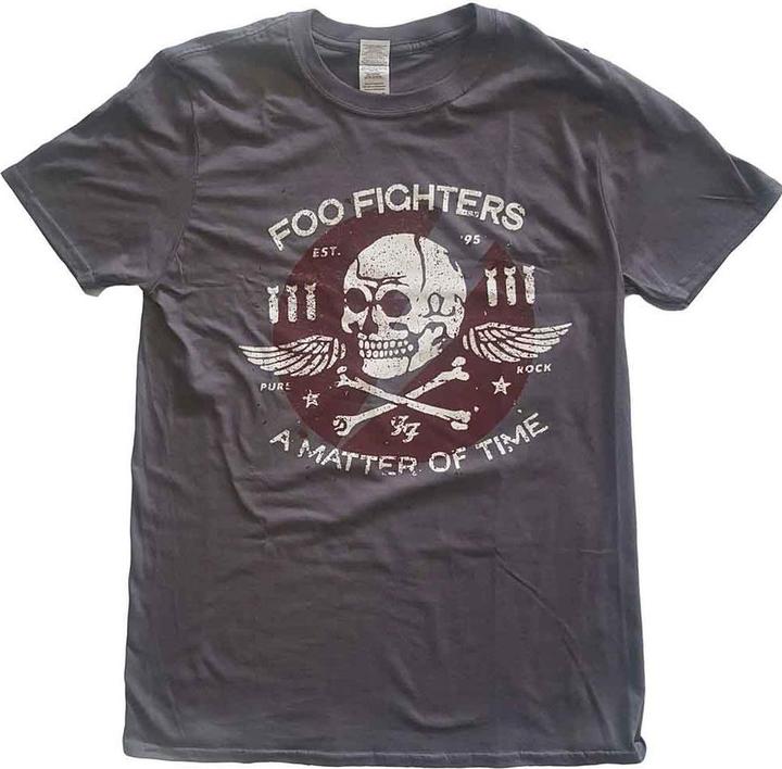 Foo Fighters Matter of Time