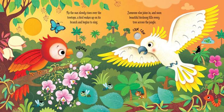 Produktbild Jungle Sounds (Englisch, Federica Iossa, Sam Taplin, 2016)