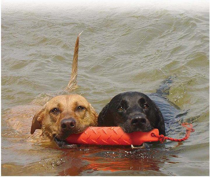 Immagine prodotto KONG Training Dummy (Reperimento)