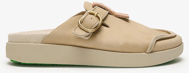 Image du produit Satorisan Hoote Premium (38)