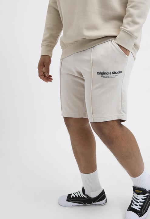 Actual product image Jack & Jones Plus Size Loose Fit Sweat-Shorts Sweat-Shorts (44)