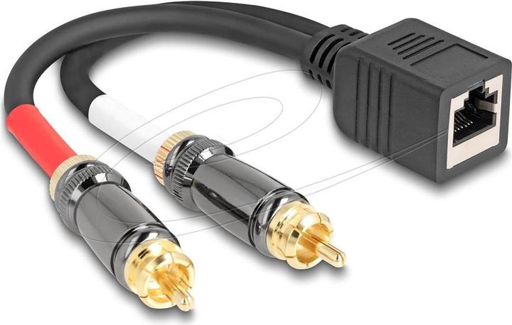Produktbild Delock Adapterkabel RJ45 Buchse zu 2 x Cinch Stecker schwarz 20 cm (88172) (0.20 m)