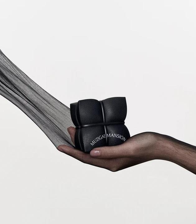 Immagine prodotto Muzigae Mansion Cuscino Elegante Opaco (N21)