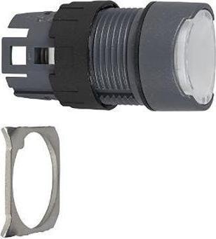 Actual product image Schneider Electric Illuminated push-button head green