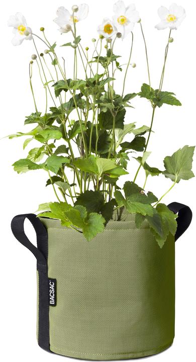Immagine prodotto Bacsac Pflanzsack (23 cm)