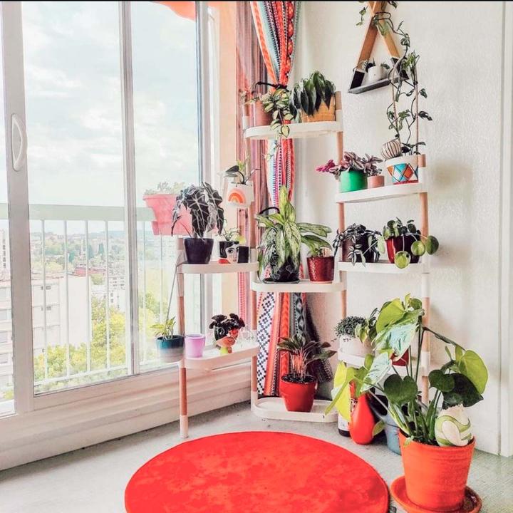 Image du produit CitySens Individualisierbarer Blumenregal