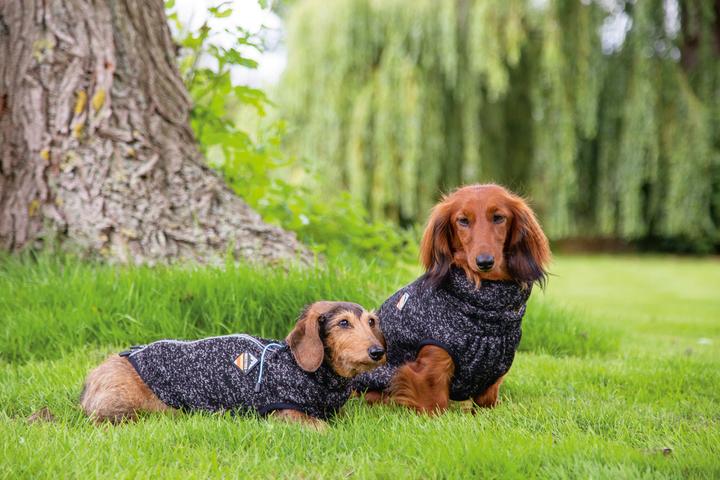 Immagine prodotto Beeztees Celia (36, Maglione per cani)