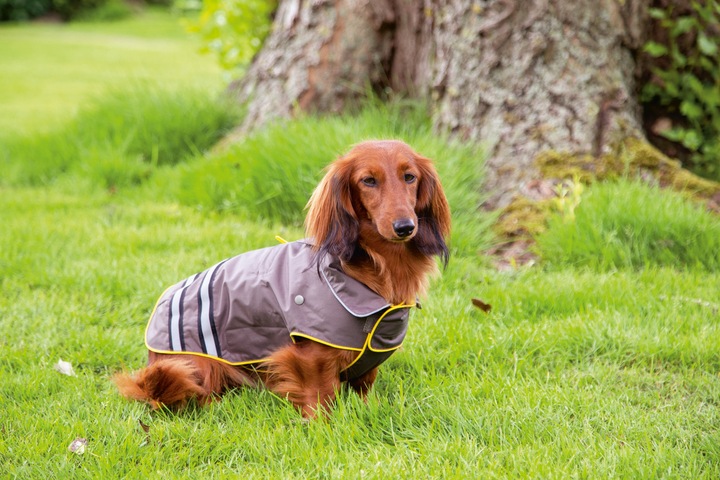 Produktbild Beeztees Hunde-Regenmantel Seja (M, Hunderegenmantel)
