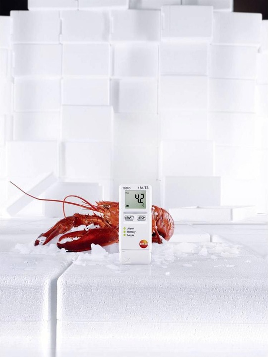 Produktbild Testo 184 T3 - Temperaturdatenlogger für Transportüberwachung (Thermometer)