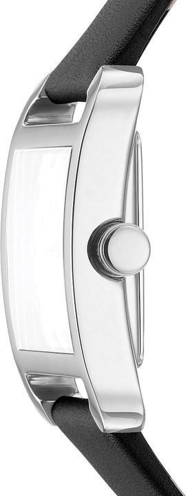 Actual product image DKNY City Midi - DK1L004L0015 (27 mm)